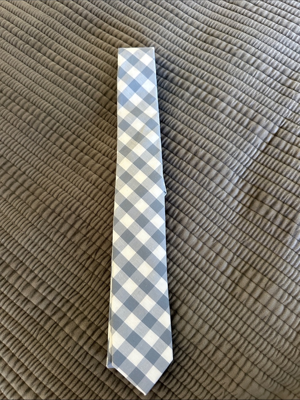 NWT Crewcuts Blue and White Checkered Tie